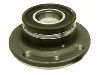 комплекс ступичного подшипника Wheel Hub Bearing:46519901