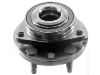 комплекс ступичного подшипника Wheel Hub Bearing:10345967